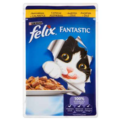FELIX SASZETKA 100G KOT KURCZAK