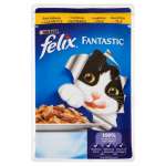 FELIX SASZETKA 100G KOT KURCZAK