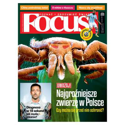 FOCUS 2014