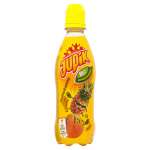 JUPIK 0,33L MULTIWIT.