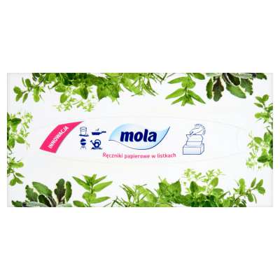 MOLA RĘCZNIK BOX 80SZT